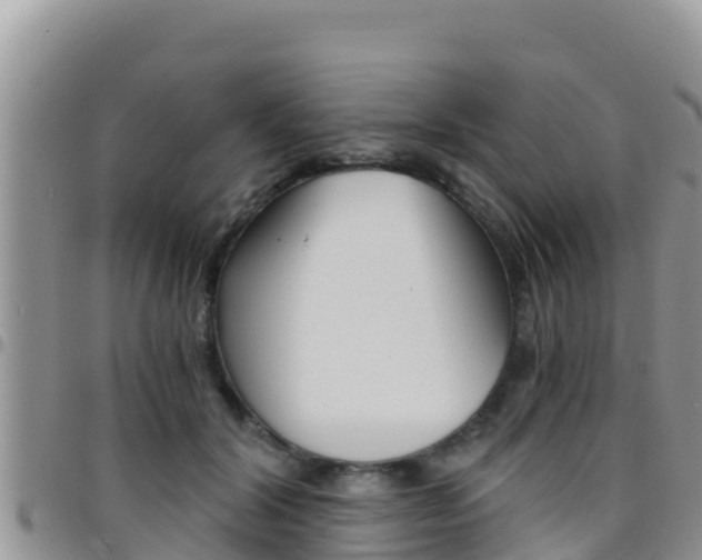 X0000096200604200801181033