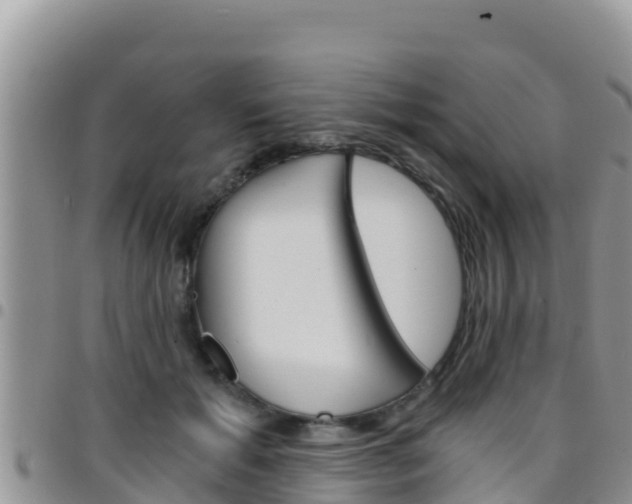 X0000096200605200801181033