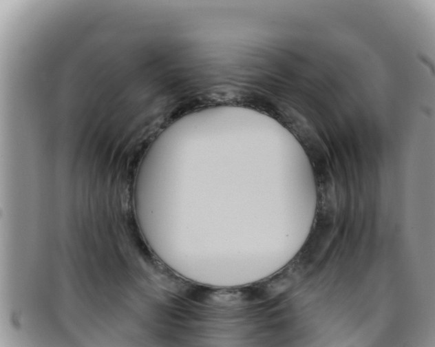 X0000096200606200801181033