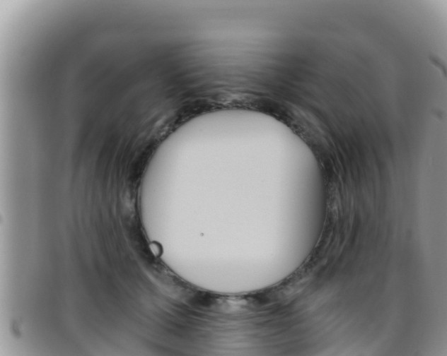 X0000096200607200801181033