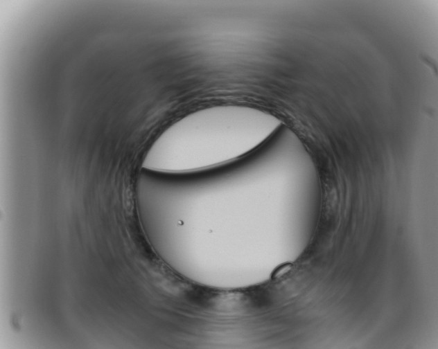 X0000096200609200801181033