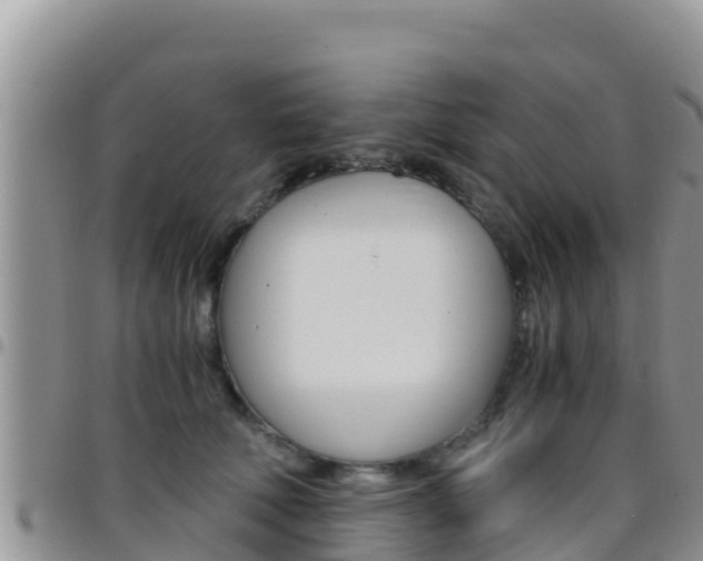 X0000096200610200801181033