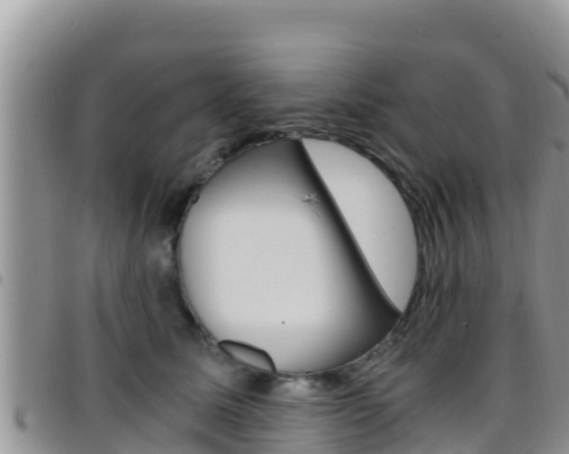 X0000096200611200801181033