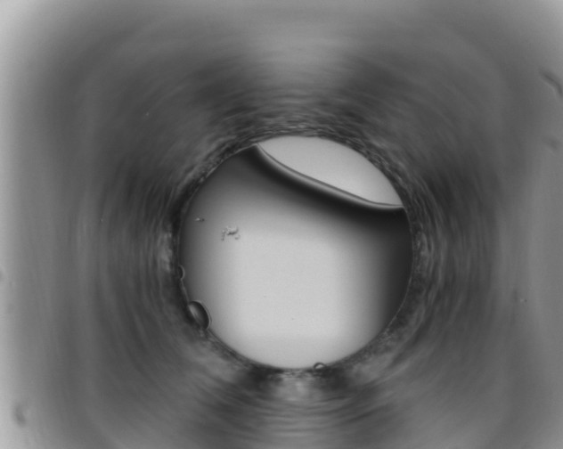 X0000096200612200801181033