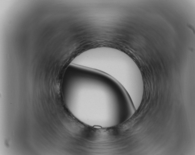 X0000096200613200801181033