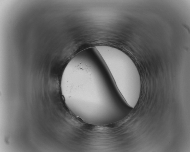 X0000096200617200801181033