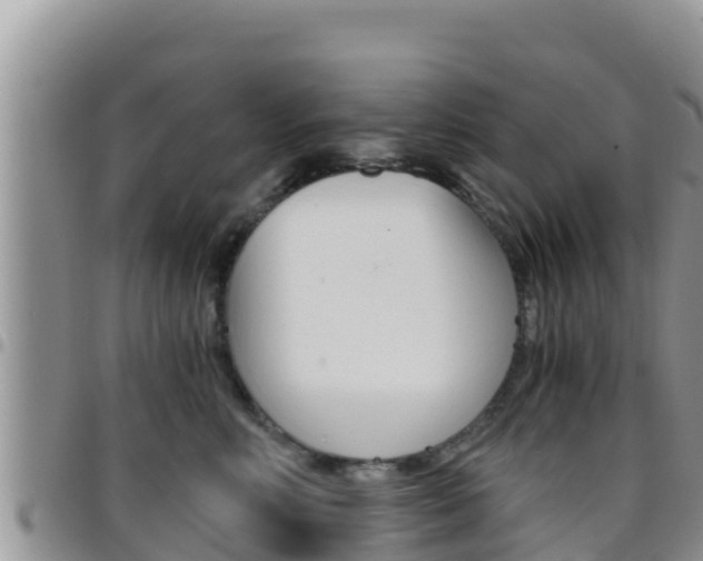 X0000096200618200801181033