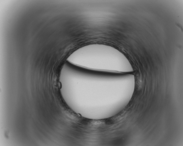 X0000096200619200801181033