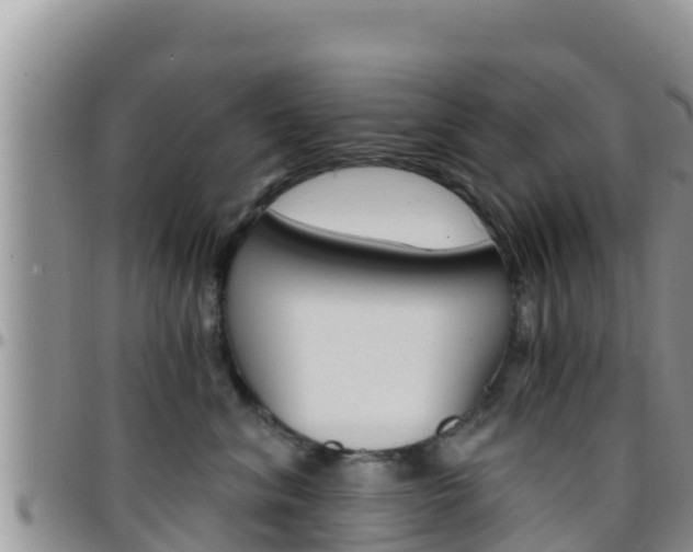 X0000096200620200801181033