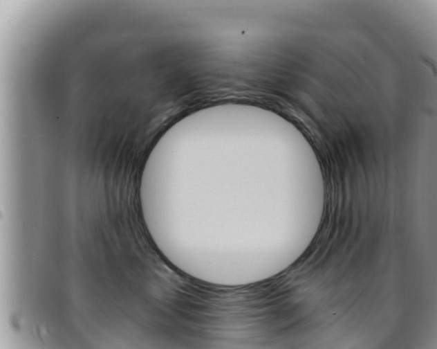 X0000096200621200801181033