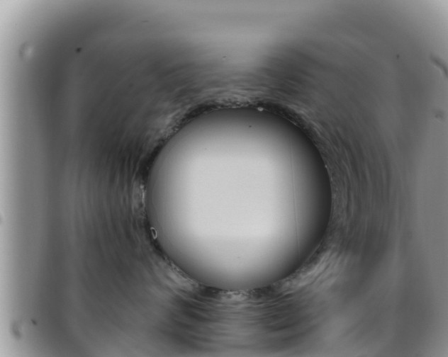 X0000096200624200801181032
