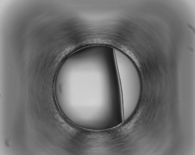 X0000096200625200801181032