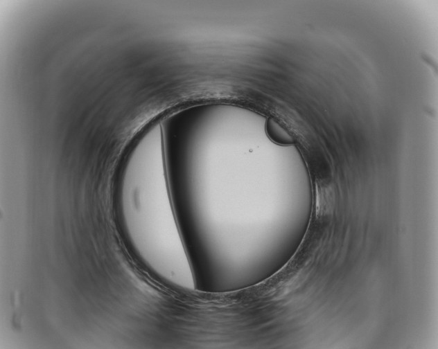 X0000096200627200801181032