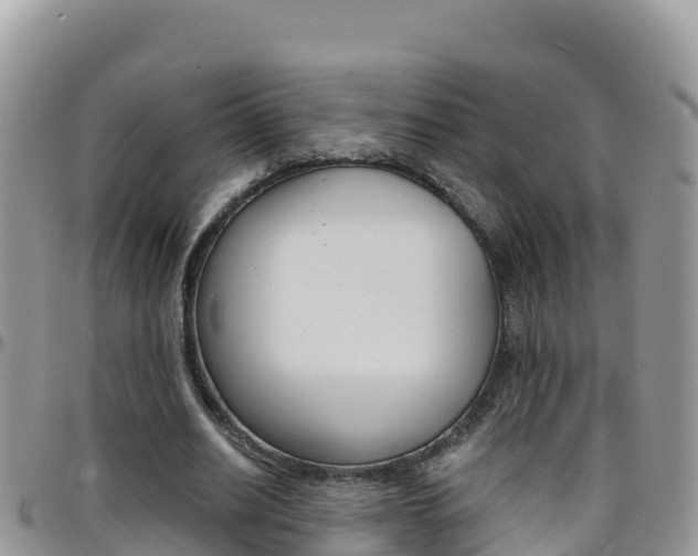 X0000096200630200801181032