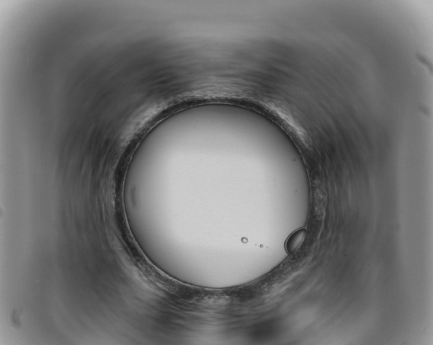 X0000096200631200801181032