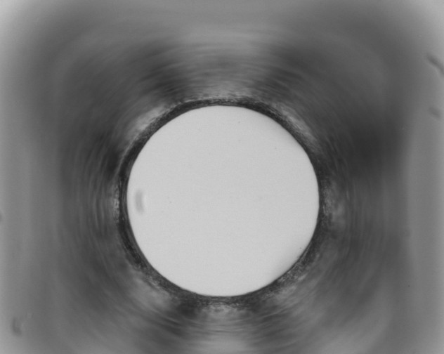 X0000096200632200801181032