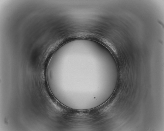 X0000096200633200801181032