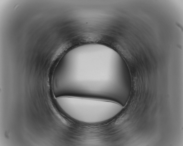 X0000096200634200801181032