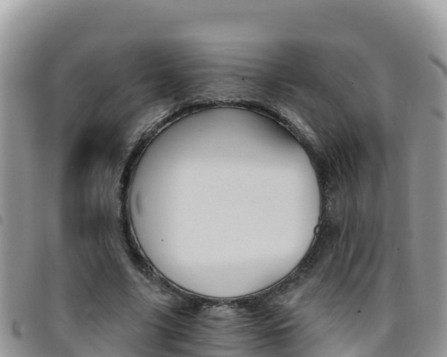 X0000096200635200801181032