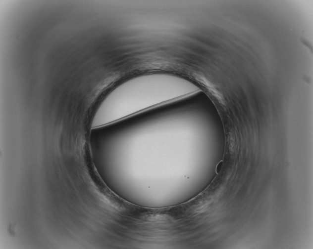 X0000096200637200801181032