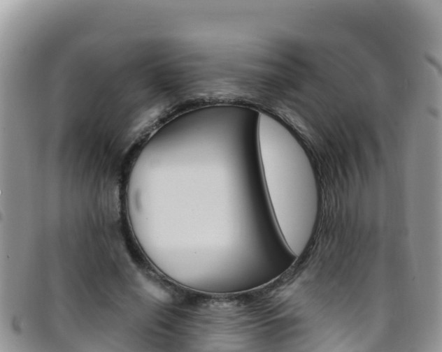 X0000096200638200801181032