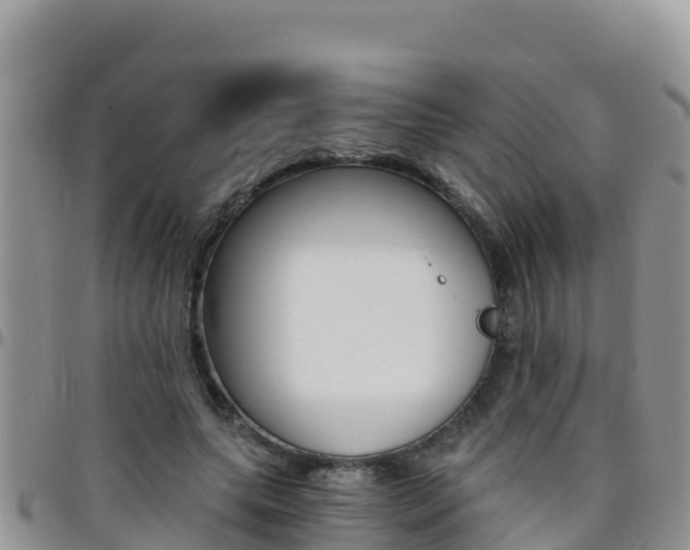 X0000096200639200801181032