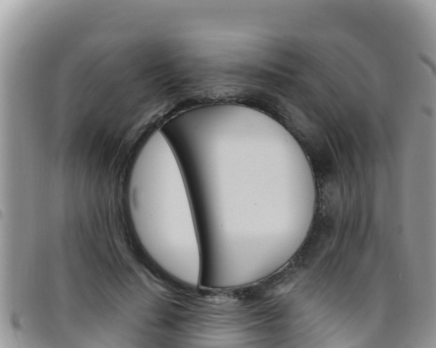 X0000096200644200801181032