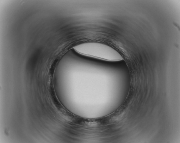 X0000096200645200801181032