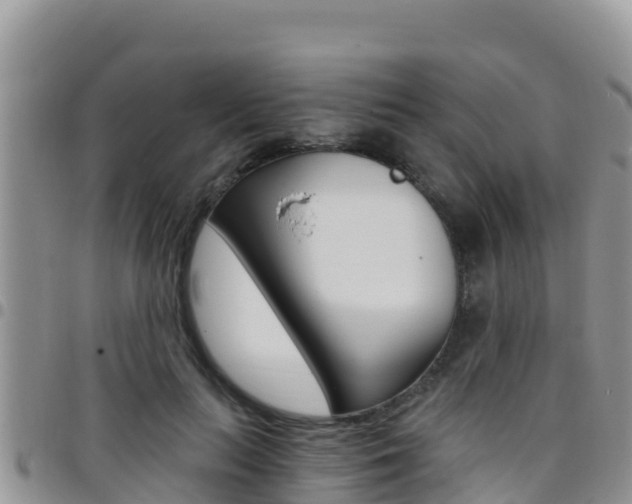 X0000096200647200801181032