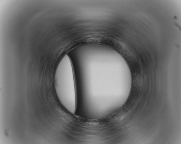 X0000096200649200801181032