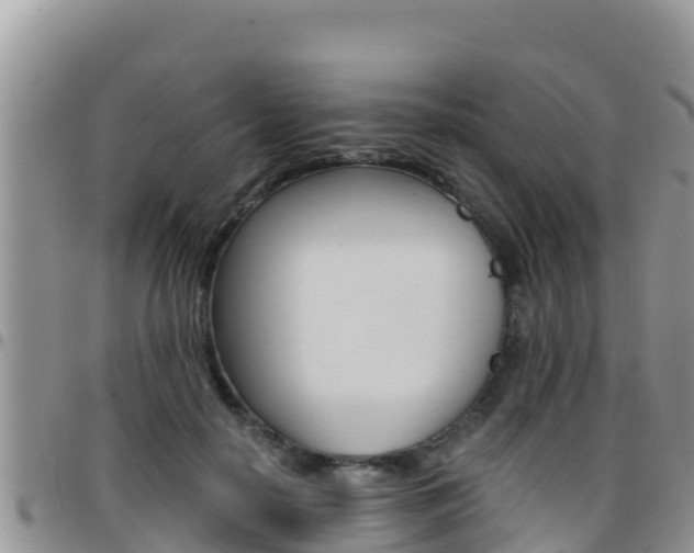 X0000096200650200801181032