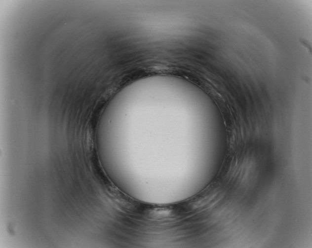 X0000096200651200801181032