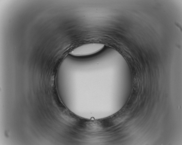 X0000096200652200801181032