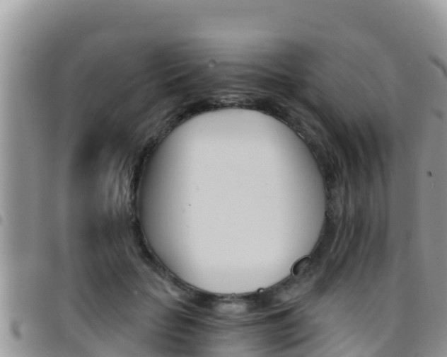 X0000096200653200801181032