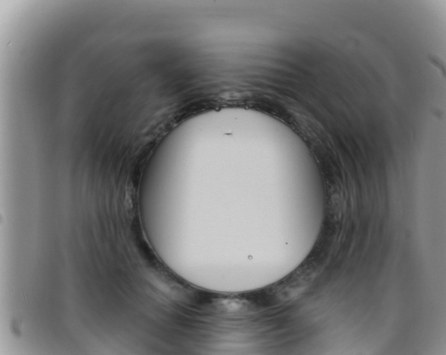 X0000096200654200801181032