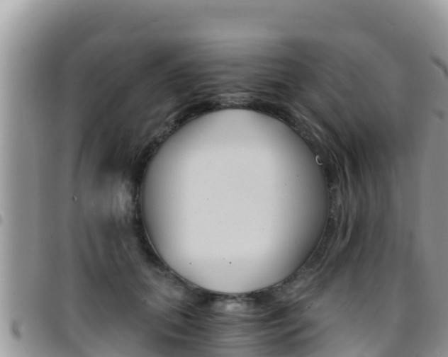X0000096200655200801181032