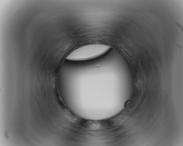 X0000096200658200801181032