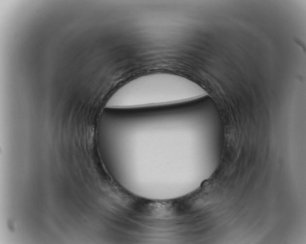 X0000096200660200801181032