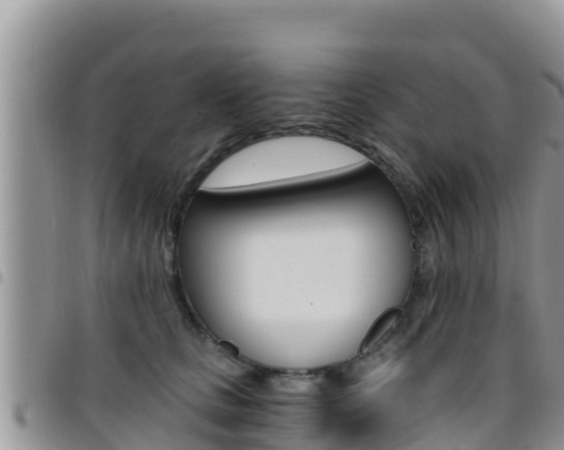 X0000096200661200801181032