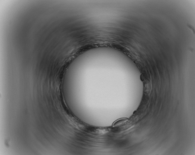 X0000096200662200801181032