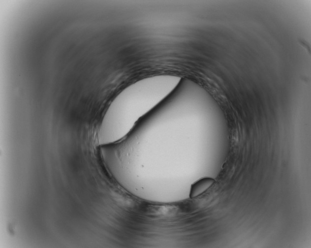X0000096200663200801181032