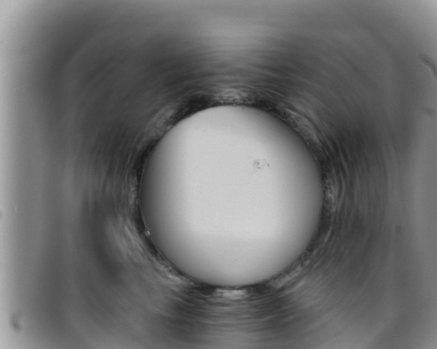 X0000096200665200801181032