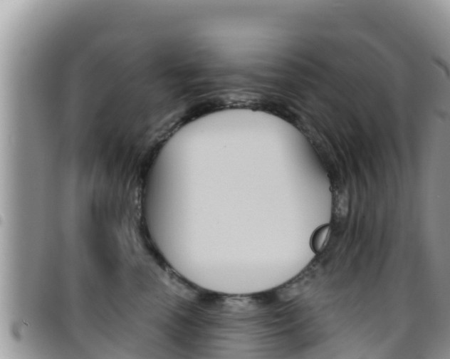 X0000096200666200801181032
