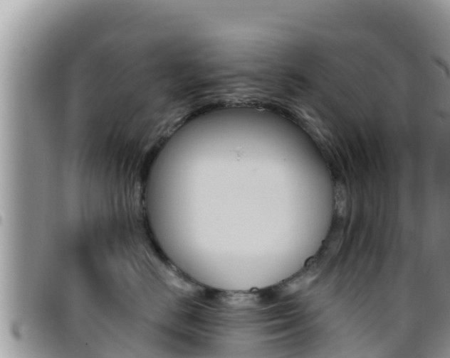 X0000096200670200801181032