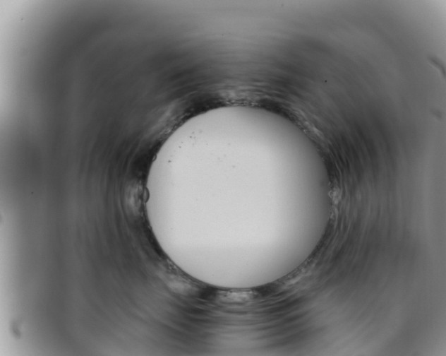X0000096200671200801181032