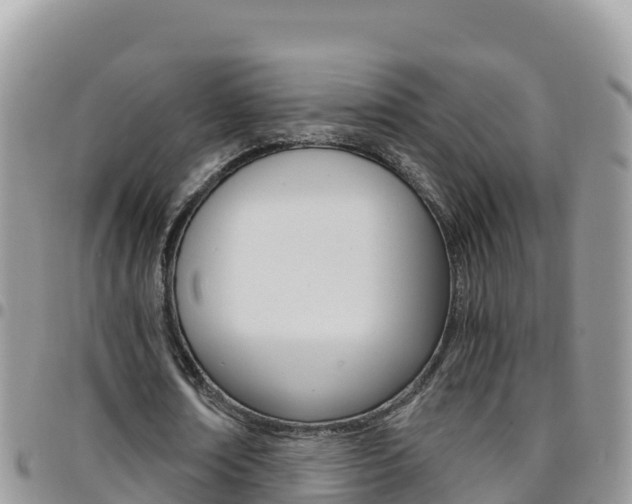 X0000096200674200801181032