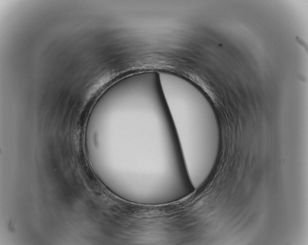 X0000096200675200801181032