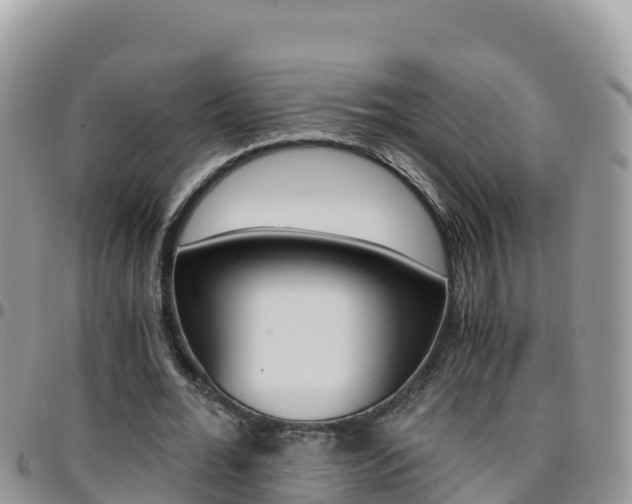 X0000096200676200801181032