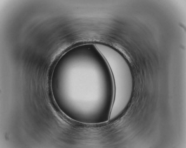 X0000096200677200801181032