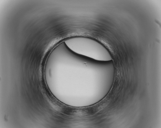 X0000096200678200801181032